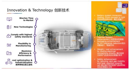 奧地利AVL李斯特公司電池技術(shù)深度解析 專訪產(chǎn)品經(jīng)理郭茹談電池浸泡冷卻的技術(shù)亮點與量產(chǎn)挑戰(zhàn)