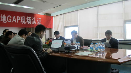 成都錦良策企業(yè)管理咨詢 專業(yè)商務信息咨詢的智慧之選